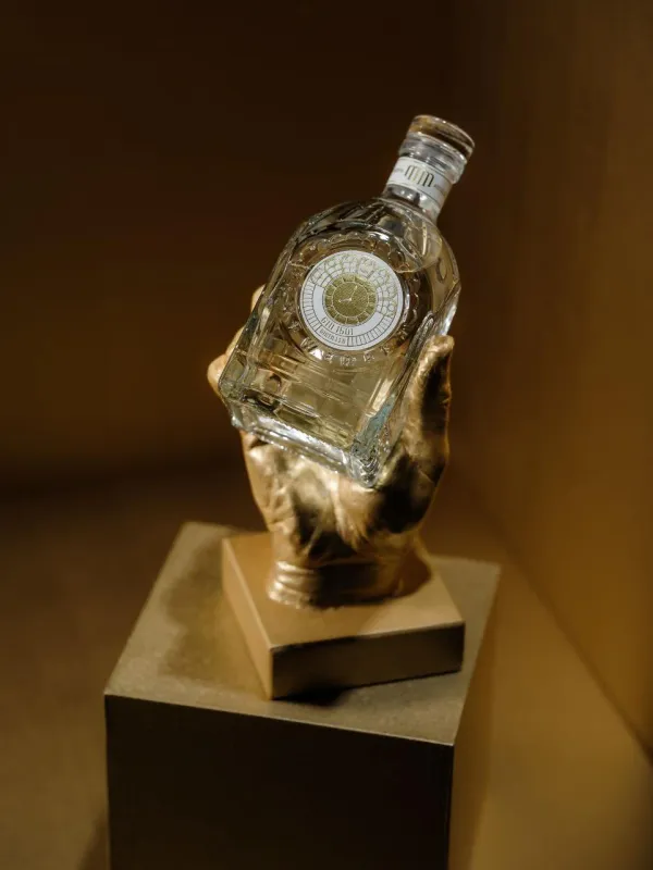 Gin 1501
