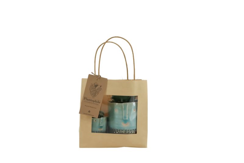 Giftbag 2 planten in facepot