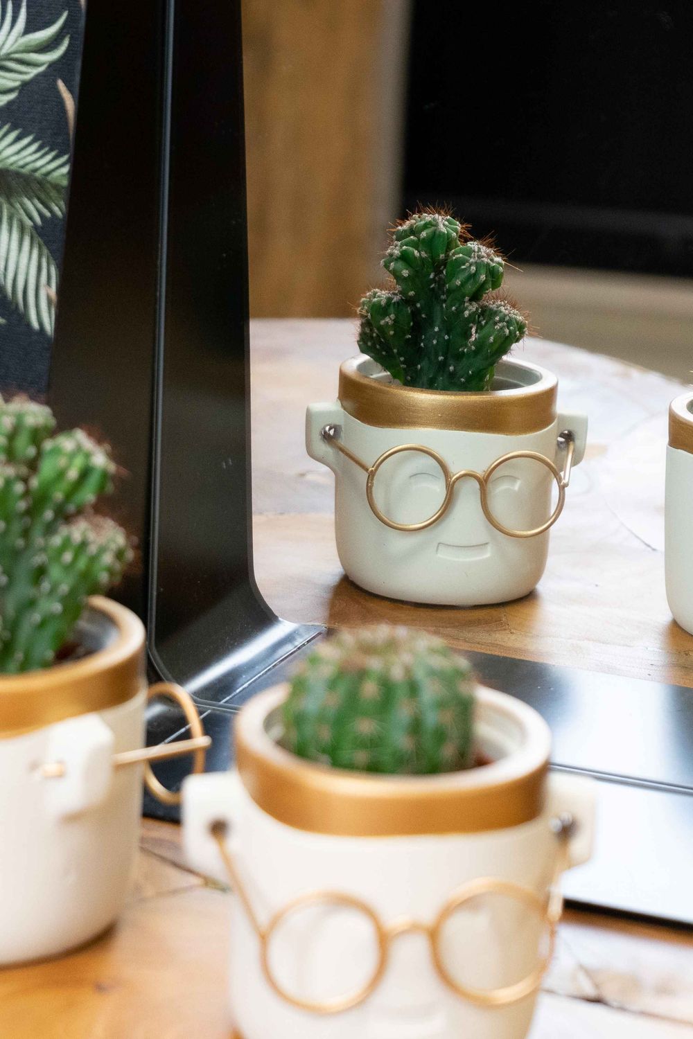 Succulents 6 cm mix in facepot with glasses - small