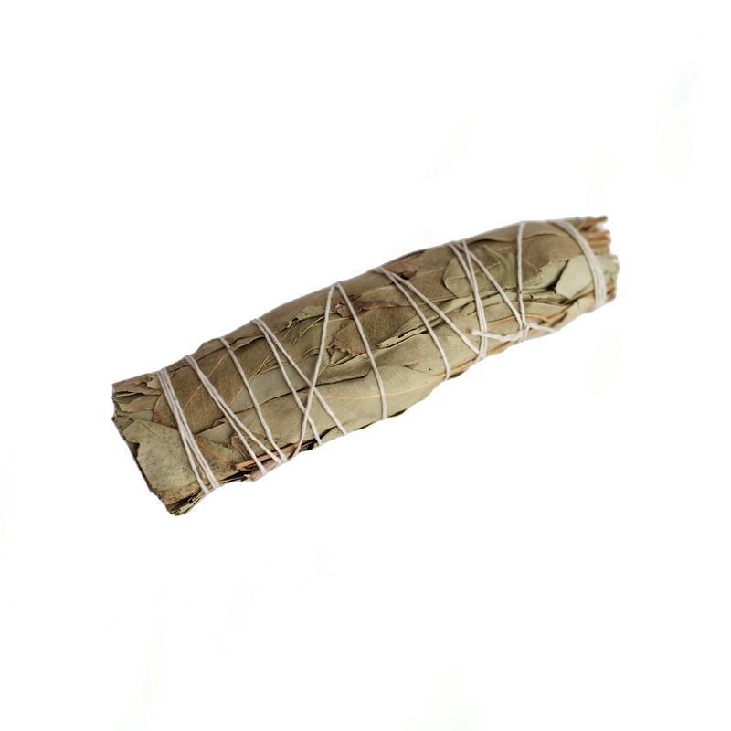 eucalyptus -fumigatiestick