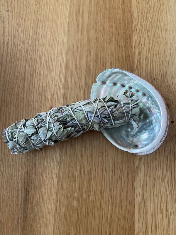 Ormal shell van Franse oorsprong diameter 9-11 cm