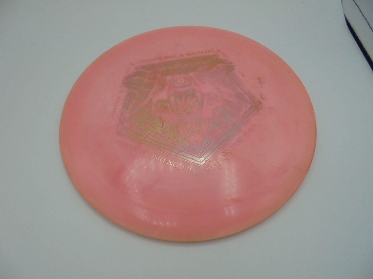 Innova PFN Penned StarTern Peach 170g -CJ