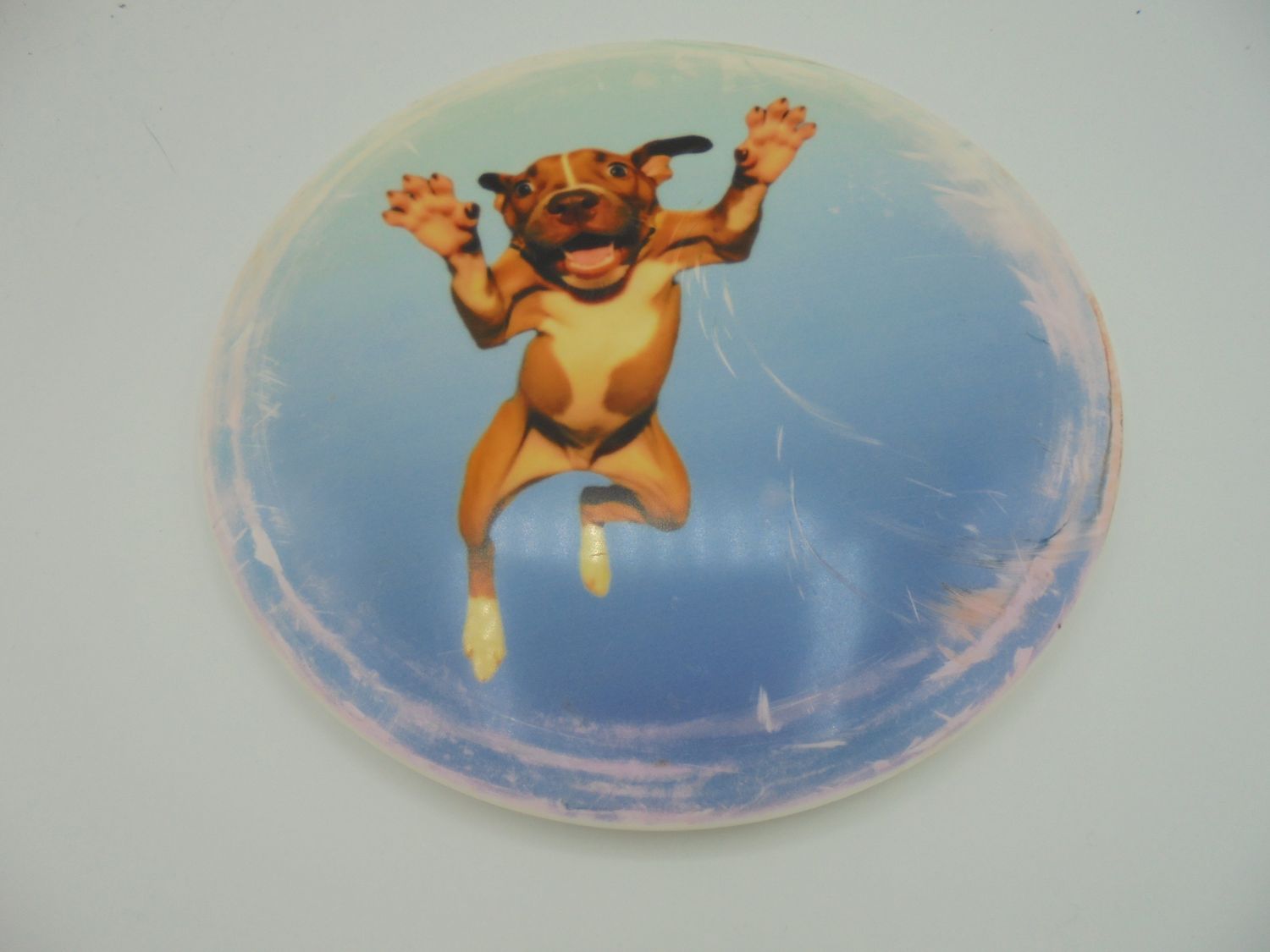 Dynamic Discs Fuzion Emac Truth Dog 180g -MC