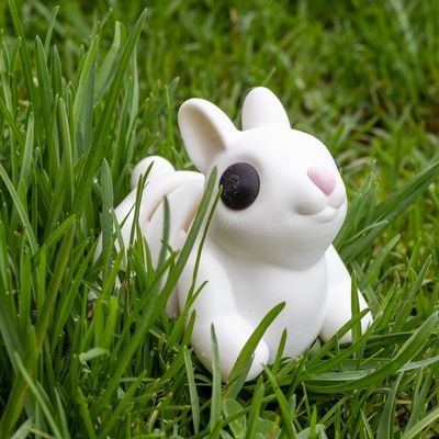 3D Printed Bunny 