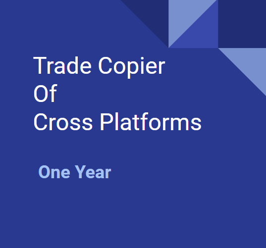 Trade Copier: One Year