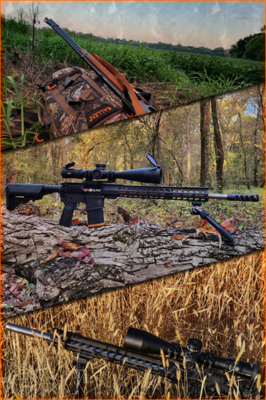 TITLE I FIREARMS