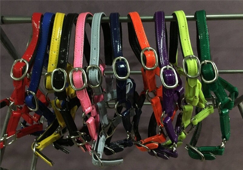 Classic PVC Halter