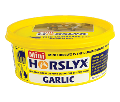 Horslyx, Size: 650gm, Product: Garlic