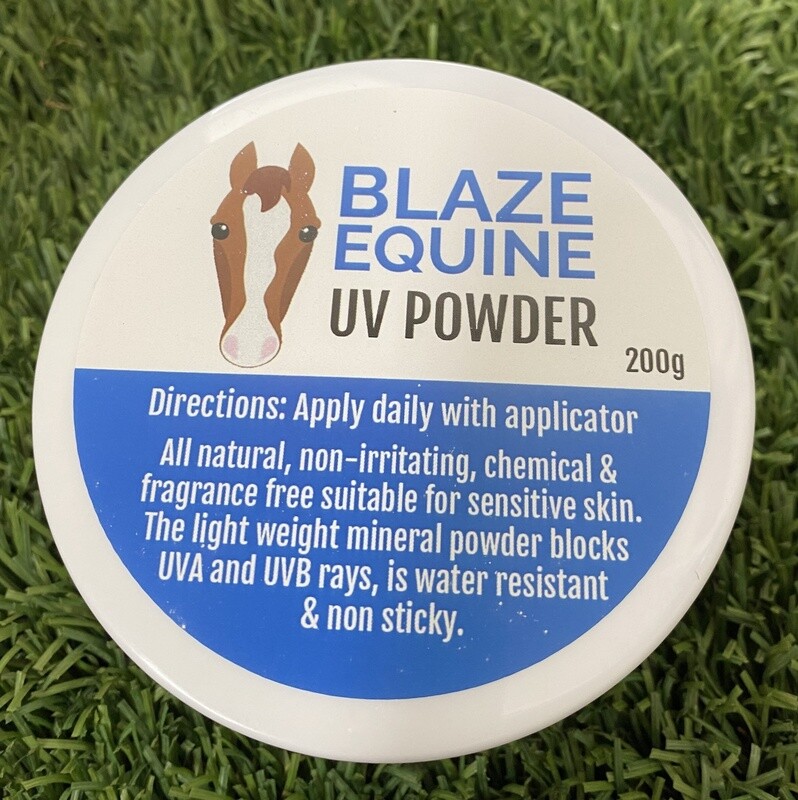 Blaze Equine