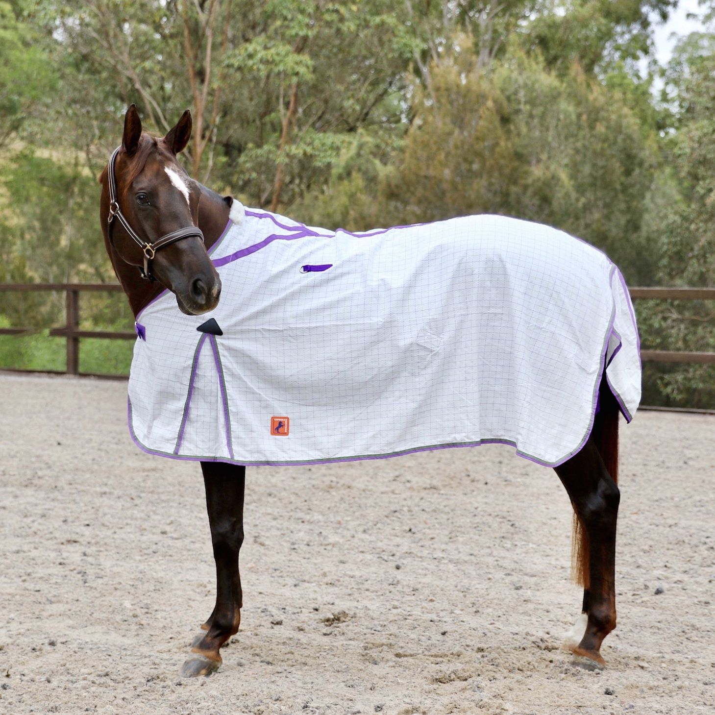 Capriole Poly-Cotton Ripstop, Colour: Purple &amp; Lime Green, Size: 5&#39;6&quot;