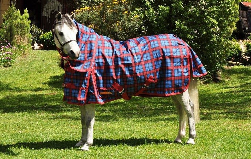 PP 600 Denier Synthetic Combo - No Fill Rainsheet, Colour: Blue &amp; Burgundy Check, Size: 2&#39;9&quot;