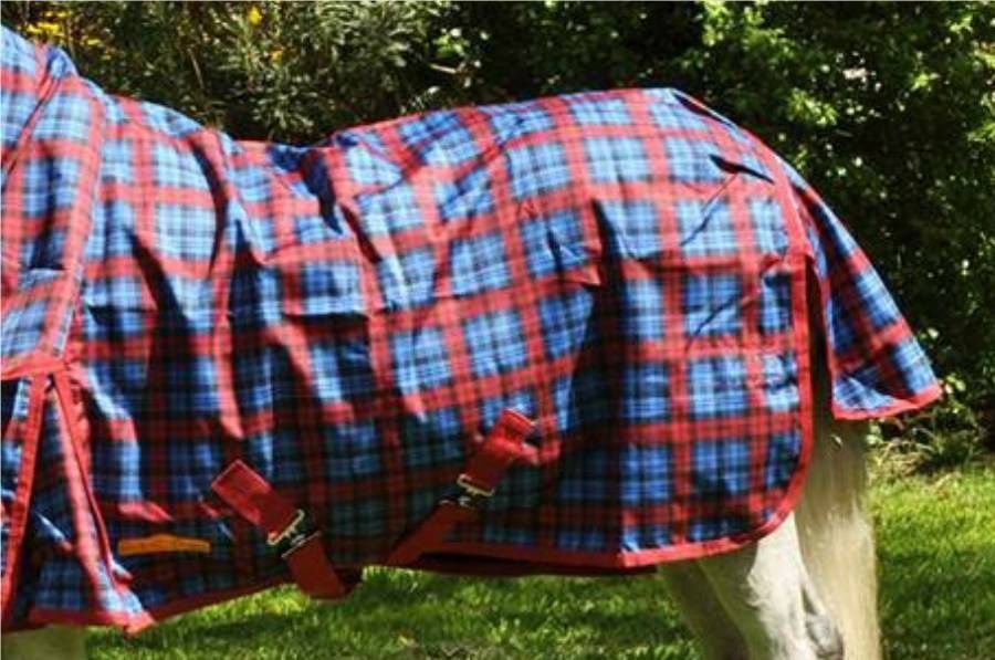 PP 600 Denier Synthetic Rug - No Fill Rainsheet, Colour: Blue &amp; Burgundy Check, Size: 2&#39;9&quot;
