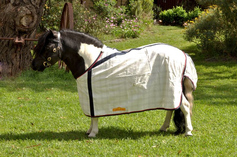 PP Deluxe Poly Cotton Ripstop RUG 2&#39;6&quot; - 5&#39;6&quot;