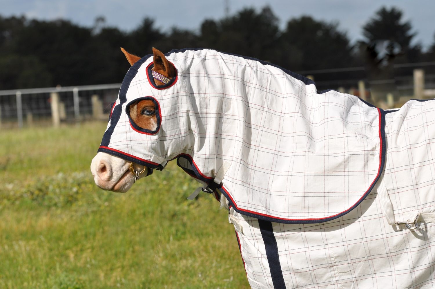 PP Poly Cotton Ripstop Hood