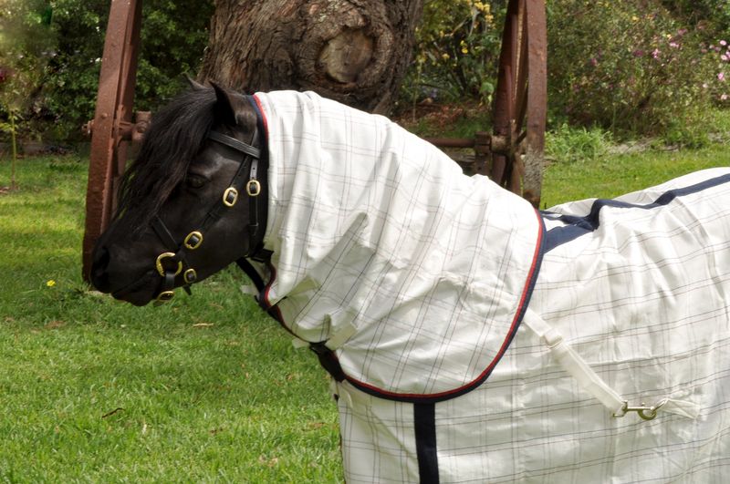 PP Poly Cotton Ripstop Neck Rug