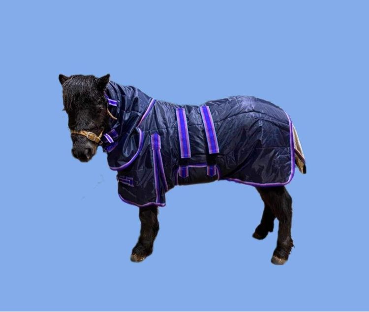PP Doona Combo