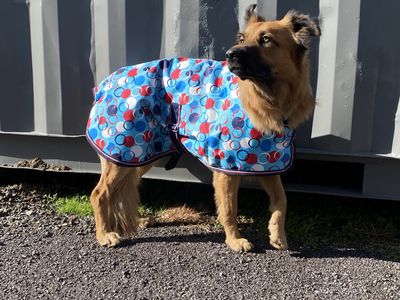 Waterproof 1200D Dog Coat
