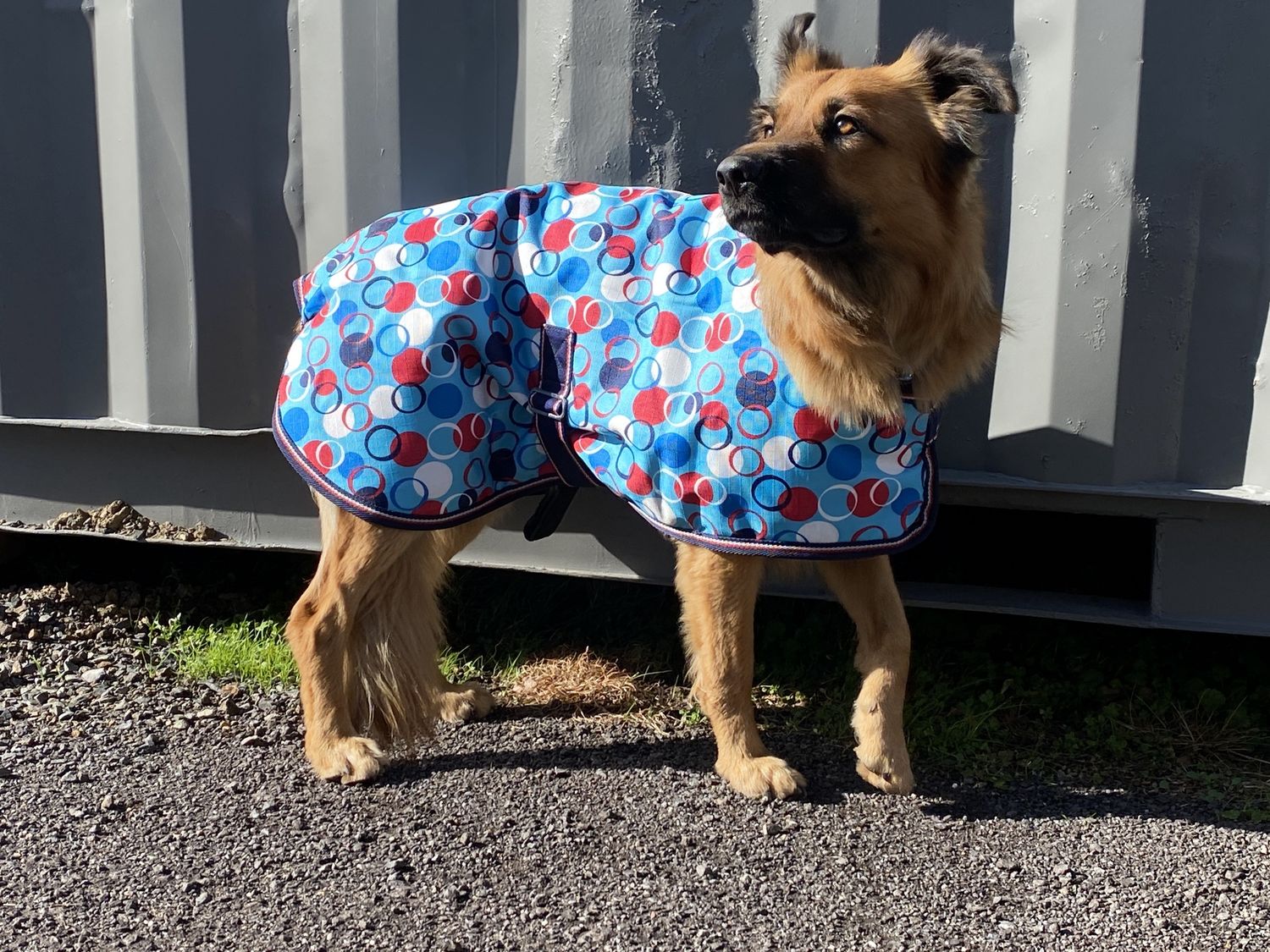 Waterproof 1200D Dog Coat, Colour: Aqua Bubble, Size: 18&quot;