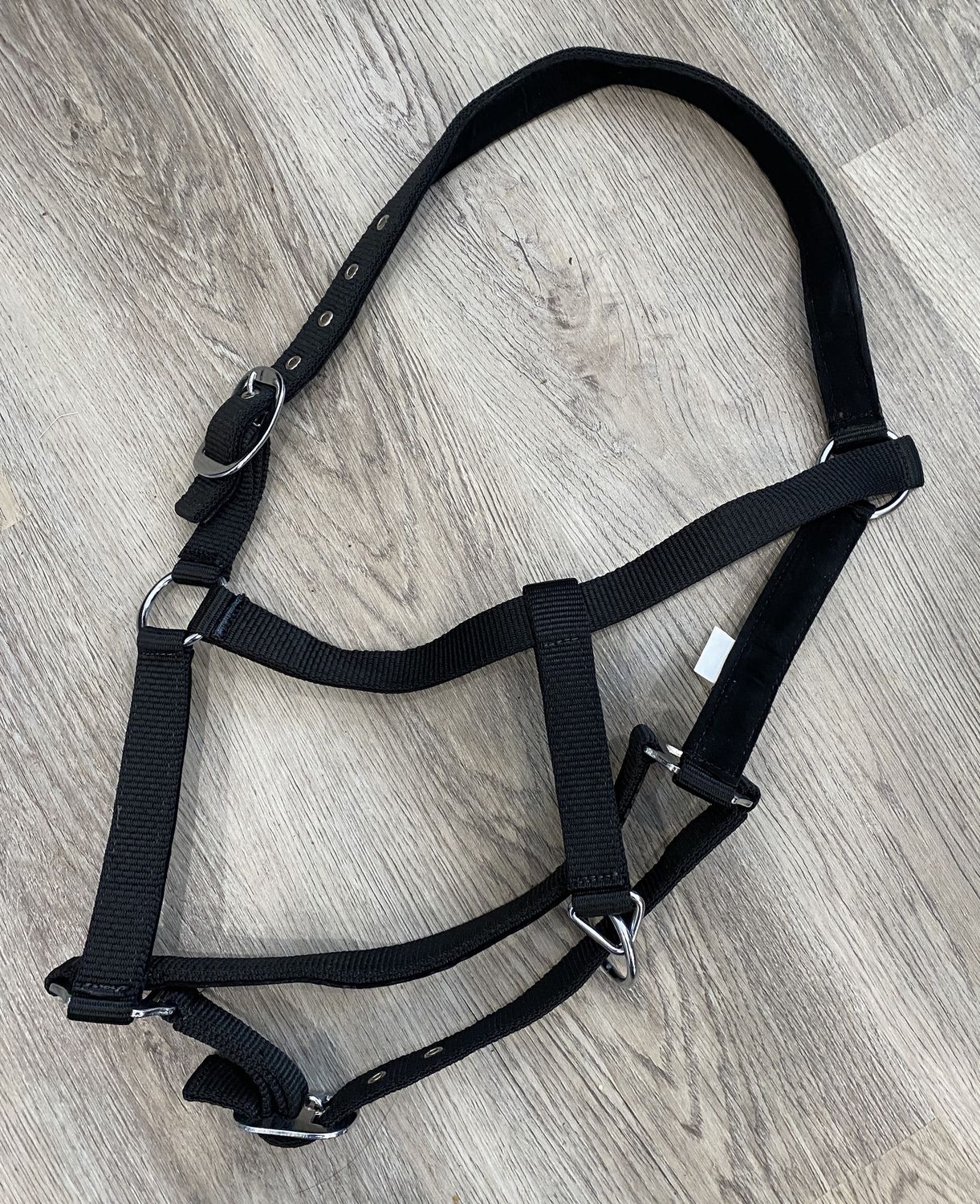 Web Halter, Colour: Black, Size: Cob