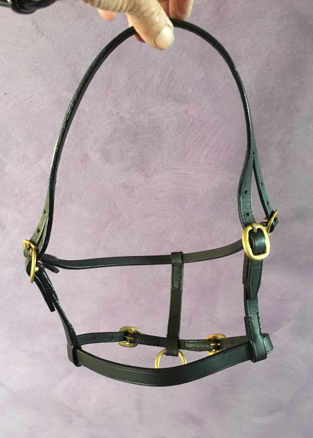 Leather Show Halters, Colour: Black/Brass, Size: Mini