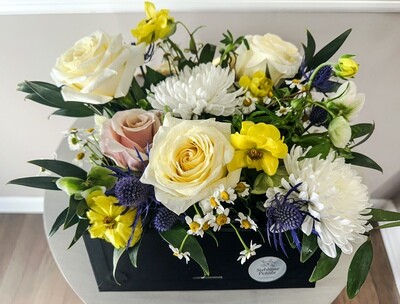 BloomBox Signature