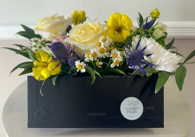 BloomBox Signature