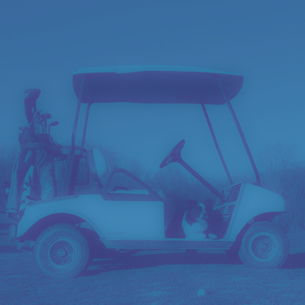 50-Round Cart Package (9 Holes)