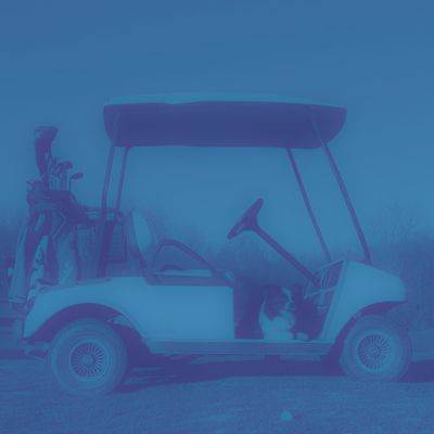 50-Round Cart Package (9 Holes) 50-Round Cart Package (9 Holes)