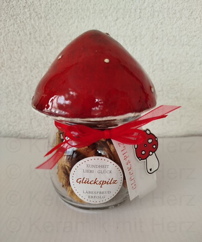 Glückspilz &quot;Steinpilze im Glas&quot;