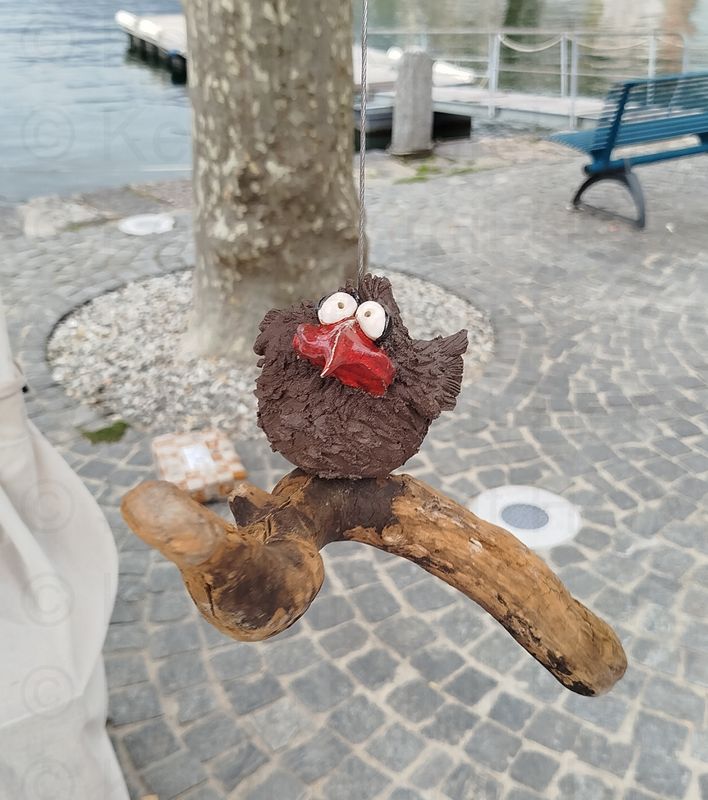 Rabe hängend klein