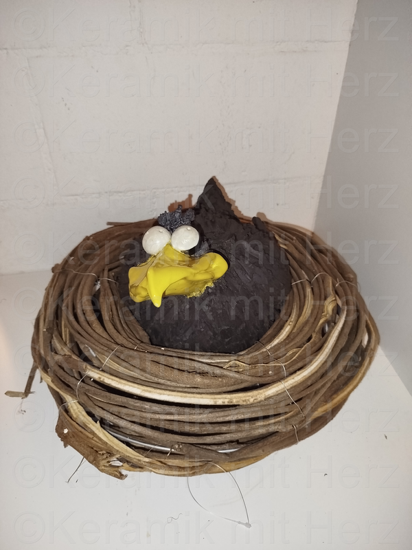 Rabe im Nest
