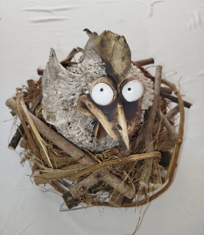 Huhn  im Nest