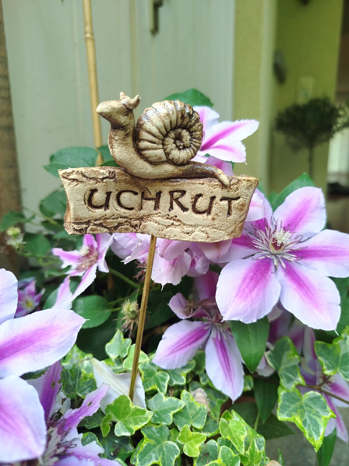 Uchrut Pflanzenschild