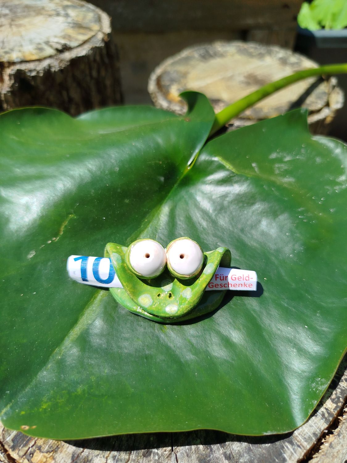 Geldgeschenk Frosch