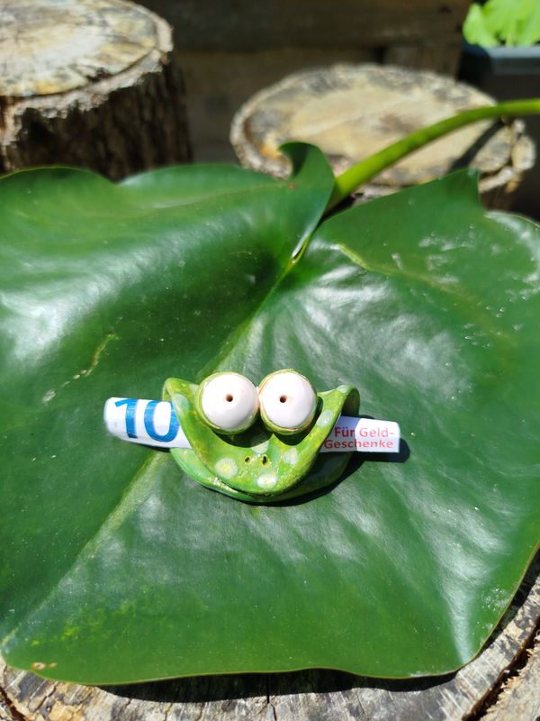 Geldgeschenk Frosch
