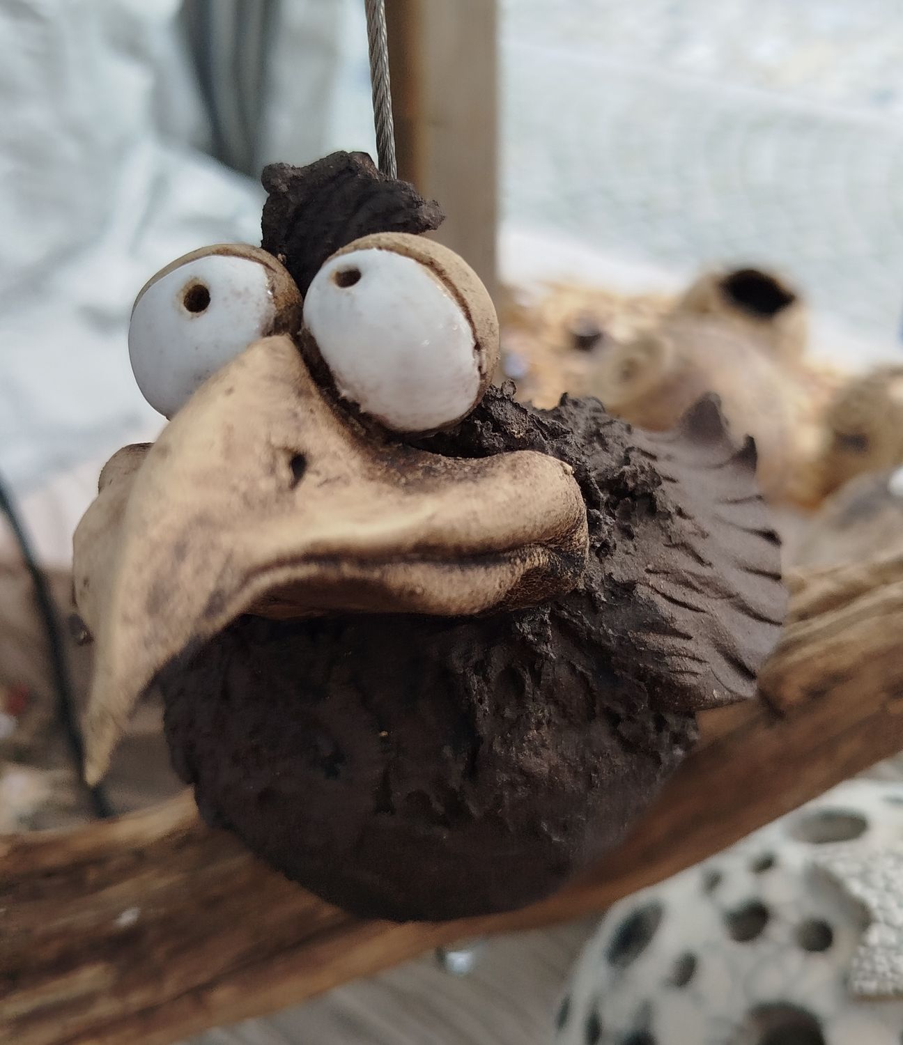 Rabe hängend gross auf Schwemmholz