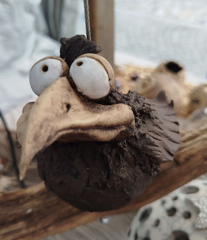 Rabe hängend gross auf Schwemmholz