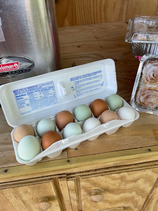 Large Rainbow Eggs