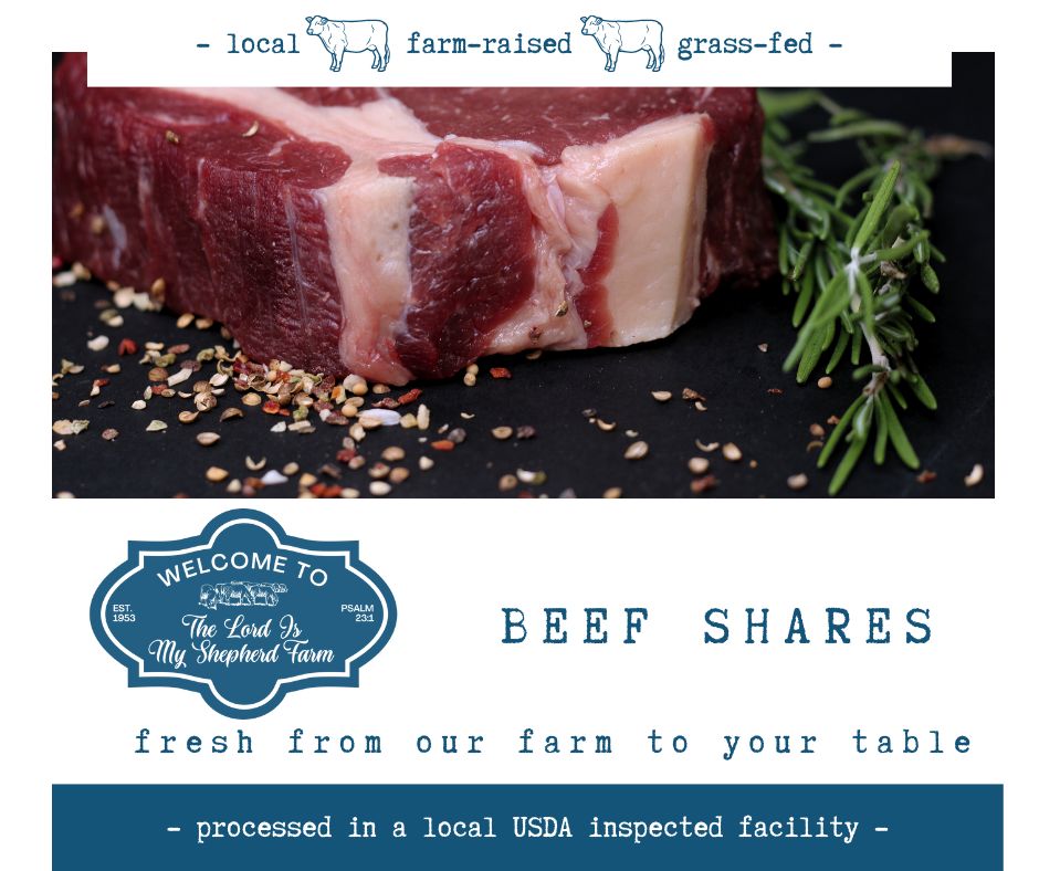 Beef Share Deposit