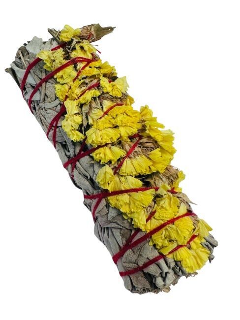 BÂTON DE SAUGE ET FLEUR DE SINUATA JAUNE