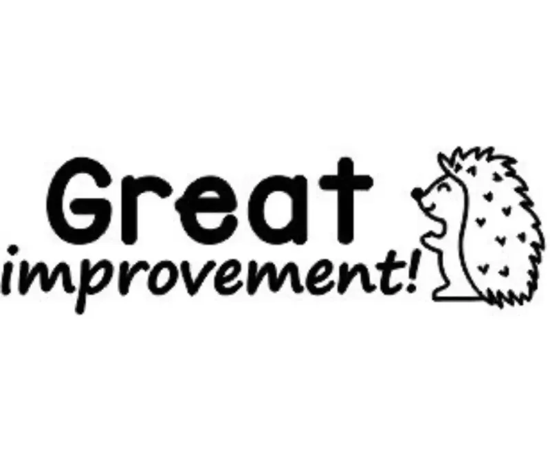 Great Improvement