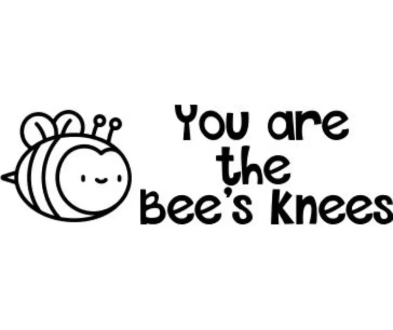 You are the bees knees