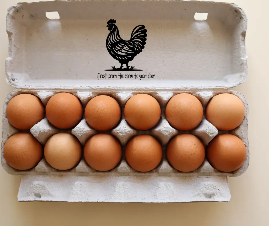 Egg Carton Stamp -Jozi Stamps 