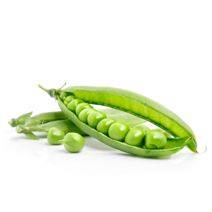 Pea