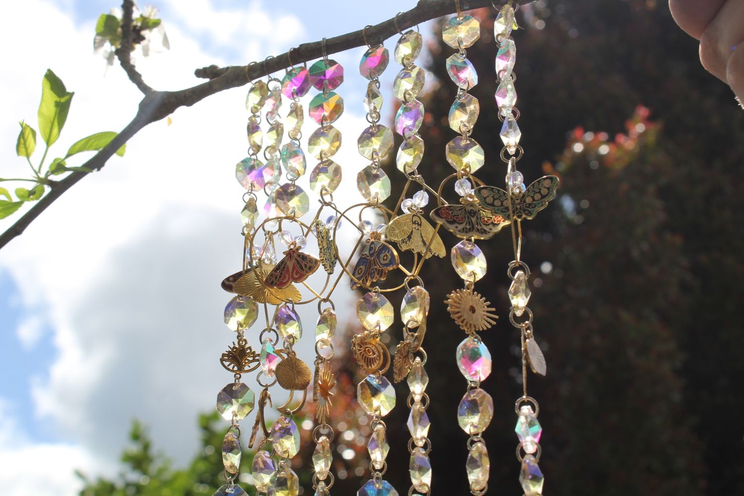 Lunar Moth Suncatchers Collection