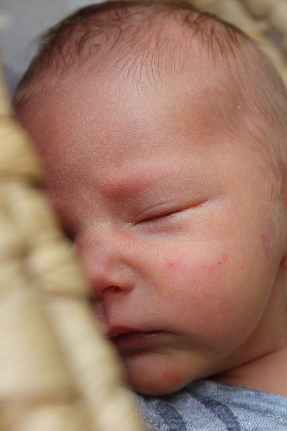 Newborn Photography Session