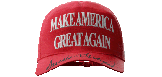 Trump MAGA Hat 47