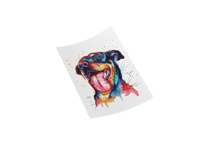 COLOR SPLASH Rottweiler DTF Decal 10&quot; Iron Transfer with Vibrant Colors