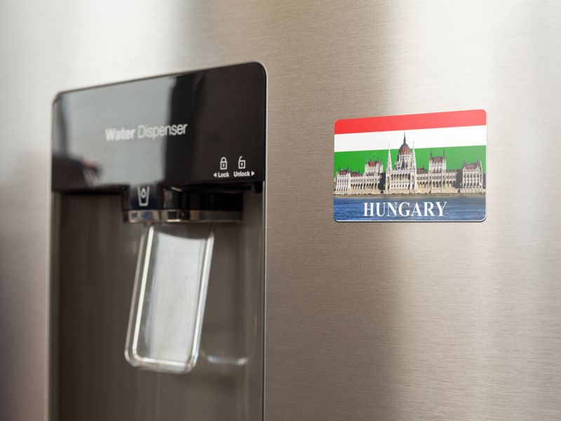 Hungarian Heritage Fridge Magnet