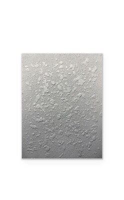 Silver Moon